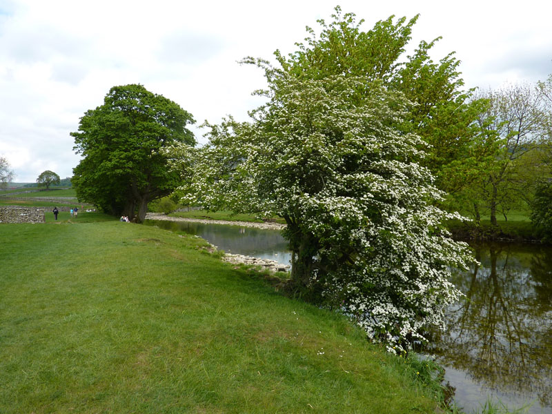 Ribble Walk